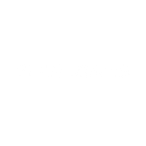Bear Moves
